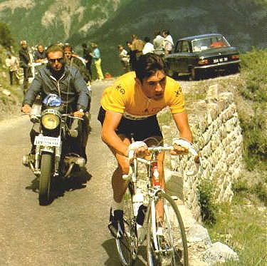 Merckx large2.jpg