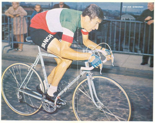 Gimondi_3