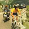 Merckx large2.jpg 3300.jpg