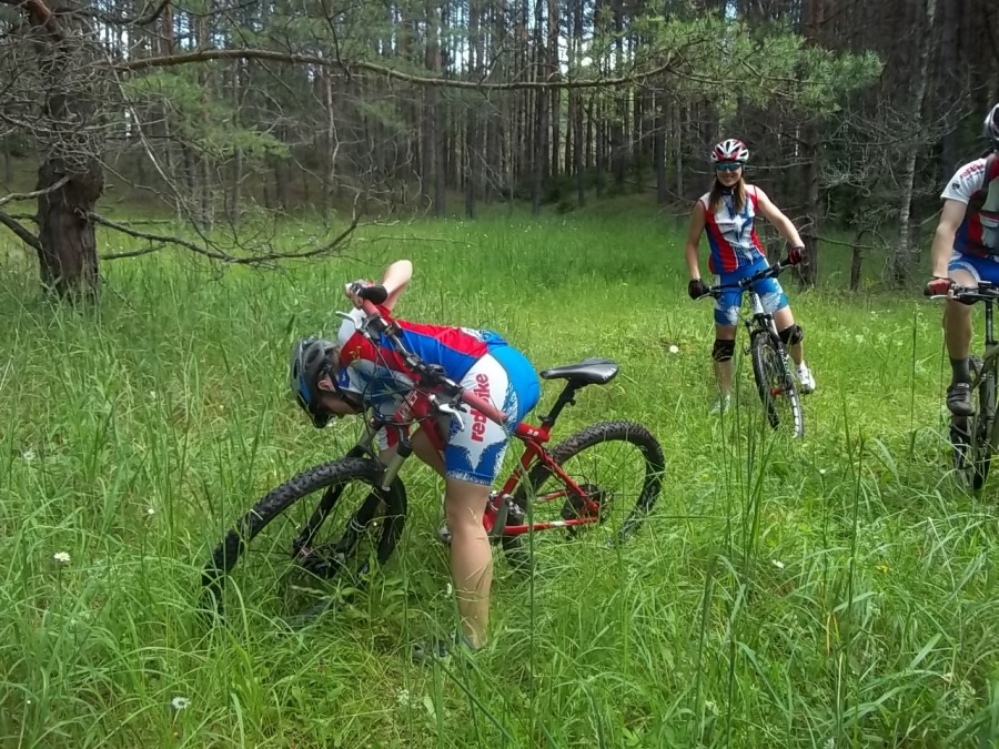 Strawberry Forest Ride